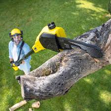 Best Pest Control for Lawns  in Highland Beach, FL